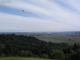 Turkey Vultures soaring on the hillside below the camera